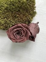 Роза коричнева 5 см - Троянда стабілізована 5-6 см