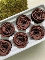 Роза коричнева 5 см - Троянда стабілізована 5-6 см