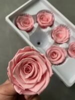 Роза рожева 5 см - Троянда стабілізована 5-6 см