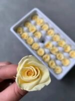 Роза міні жовта - Роза стабілізована міні 2-3 см
