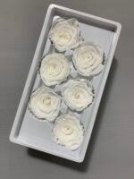 Роза біла 5 см - Троянда стабілізована 5-6 см