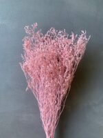 Статиця широколиста рожева (30 гр) - Статиця