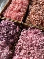 Гортензія стабілізована рожево-персикова 100 гр - Гортензія