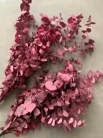 Евкаліпт Ценерея стабілізований Lila - Евкаліпт стабілізований