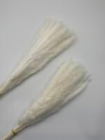 Пампасна трава Fluffy біла 15 шт - Кортадерія