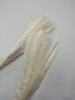 Пампасна трава Fluffy біла 15 шт - Кортадерія