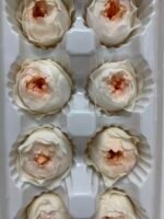 Роза Остін біла з персиковою серединою - Троянда стабілізована півоноїдна 4-5 см