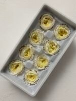 Роза Остін біла з жовтою серединою - Троянда стабілізована півоноїдна 4-5 см