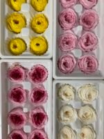 Роза Остін рожева зтемно-рожевою серединою - Троянда стабілізована півоноїдна 4-5 см