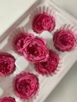 Роза Остін яскраво рожева - Троянда стабілізована півоноїдна 4-5 см