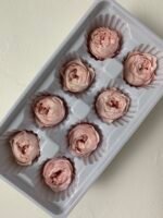 Роза Остін біла з персиковою серединою - Троянда стабілізована півоноїдна 4-5 см