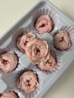 Роза Остін біла з персиковою серединою - Троянда стабілізована півоноїдна 4-5 см