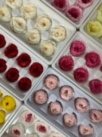 Роза Остін біла з персиковою серединою - Троянда стабілізована півоноїдна 4-5 см