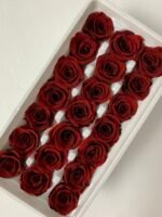 Роза міні бордо - Роза стабілізована міні 2-3 см