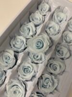 Роза міні світло блакитна - Роза стабілізована міні 2-3 см