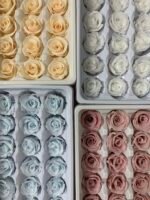 Роза міні світло блакитна - Роза стабілізована міні 2-3 см