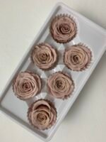 Роза антична 5 см - Троянда стабілізована 5-6 см