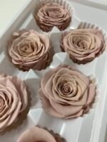 Роза антична 5 см - Троянда стабілізована 5-6 см