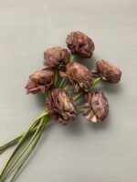 Ранункулюс з шоли античний 8 см - Шола