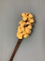 Бавовна темно персикова (10 шт) - Бавовна