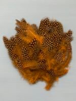 Набір натурального пір'я фазана в горох теракотове 100 шт - Пір'я