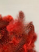 Набір натурального пір'я фазана в горох бордове 100 шт - Пір'я