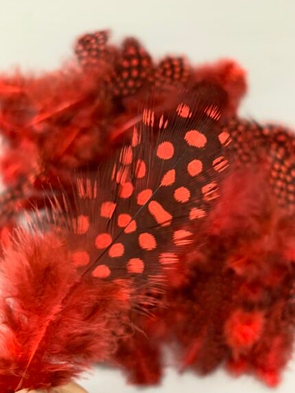 Набір натурального пір'я фазана в горох бордове 100 шт - Пір'я