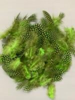 Набір натурального пір'я фазана в горох салатове 100 шт - Пір'я