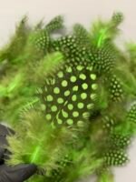 Набір натурального пір'я фазана в горох салатове 100 шт - Пір'я