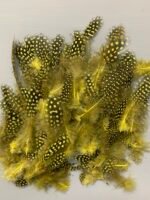 Набір натурального пір'я фазана в горох салатово-жовте 100 шт - Пір'я