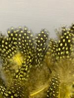 Набір натурального пір'я фазана в горох салатово-жовте 100 шт - Пір'я