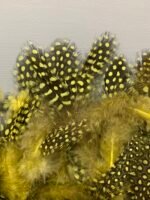 Набір натурального пір'я фазана в горох салатово-жовте 100 шт - Пір'я