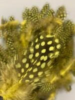 Набір натурального пір'я фазана в горох салатово-жовте 100 шт - Пір'я