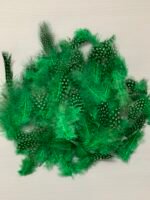 Набір натурального пір'я фазана в горох зелене 100 шт - Пір'я