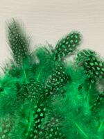 Набір натурального пір'я фазана в горох зелене 100 шт - Пір'я