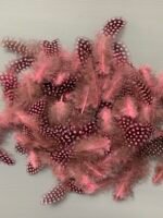 Набір натурального пір'я фазана в горох рожево античне 100 шт - Пір'я