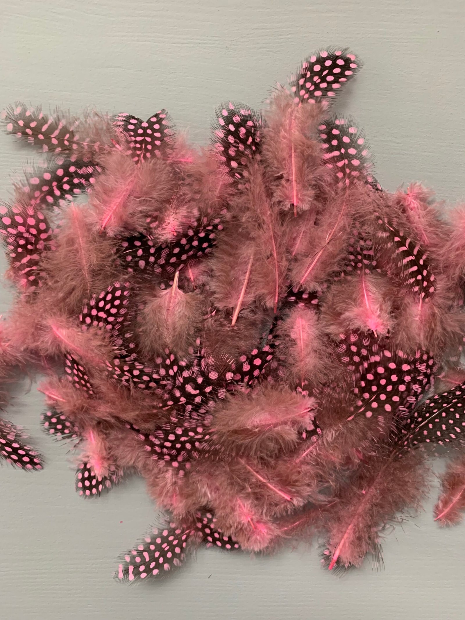 Набір натурального пір'я фазана в горох рожево античне 100 шт - Пір'я Набір натурального пір'я фазана в горох рожево античне 100 шт - Пір'я