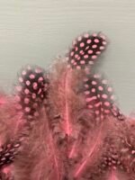 Набір натурального пір'я фазана в горох рожево античне 100 шт - Пір'я