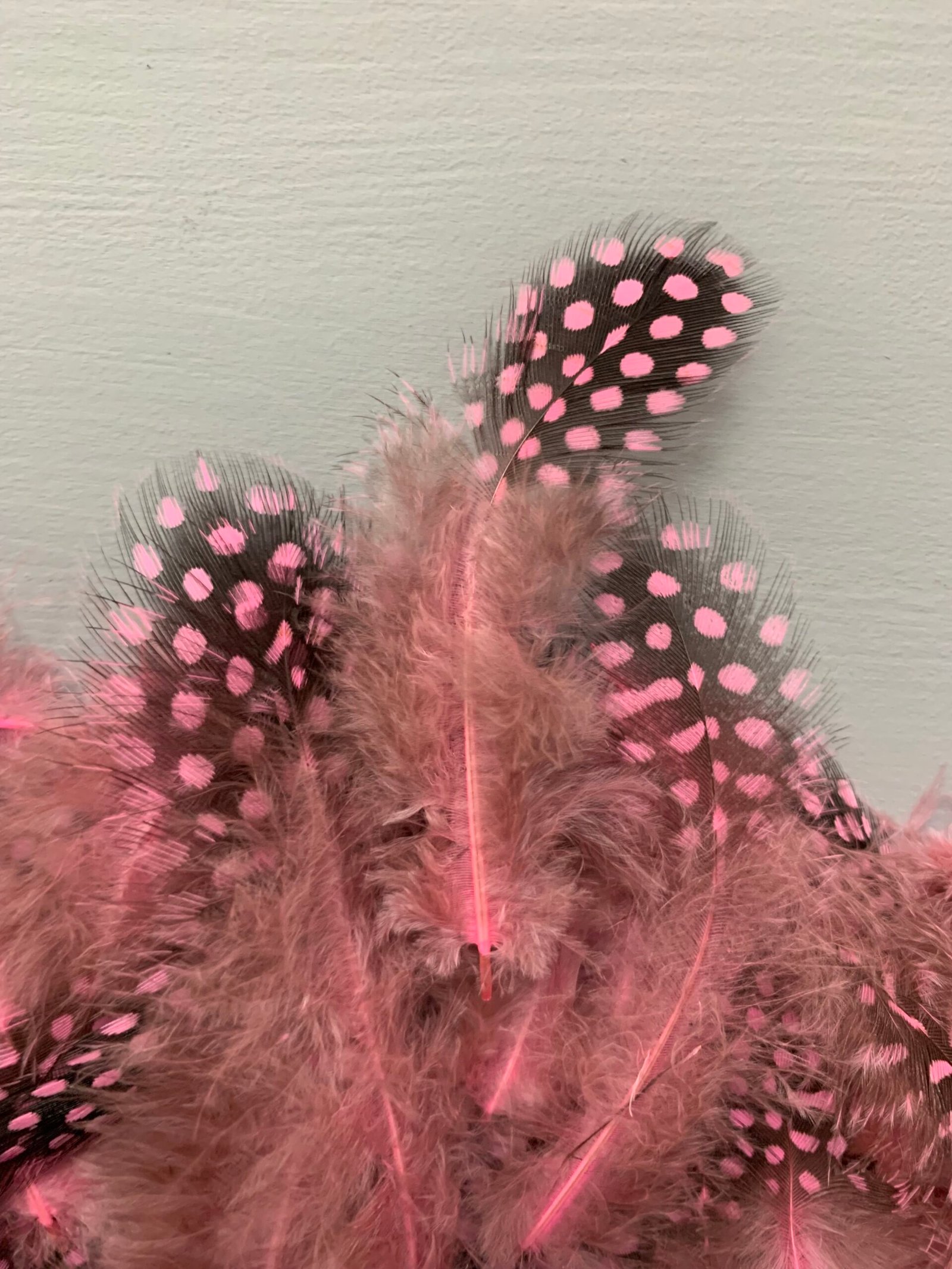 Набір натурального пір'я фазана в горох рожево античне 100 шт - Пір'я Набір натурального пір'я фазана в горох рожево античне 100 шт - Пір'я