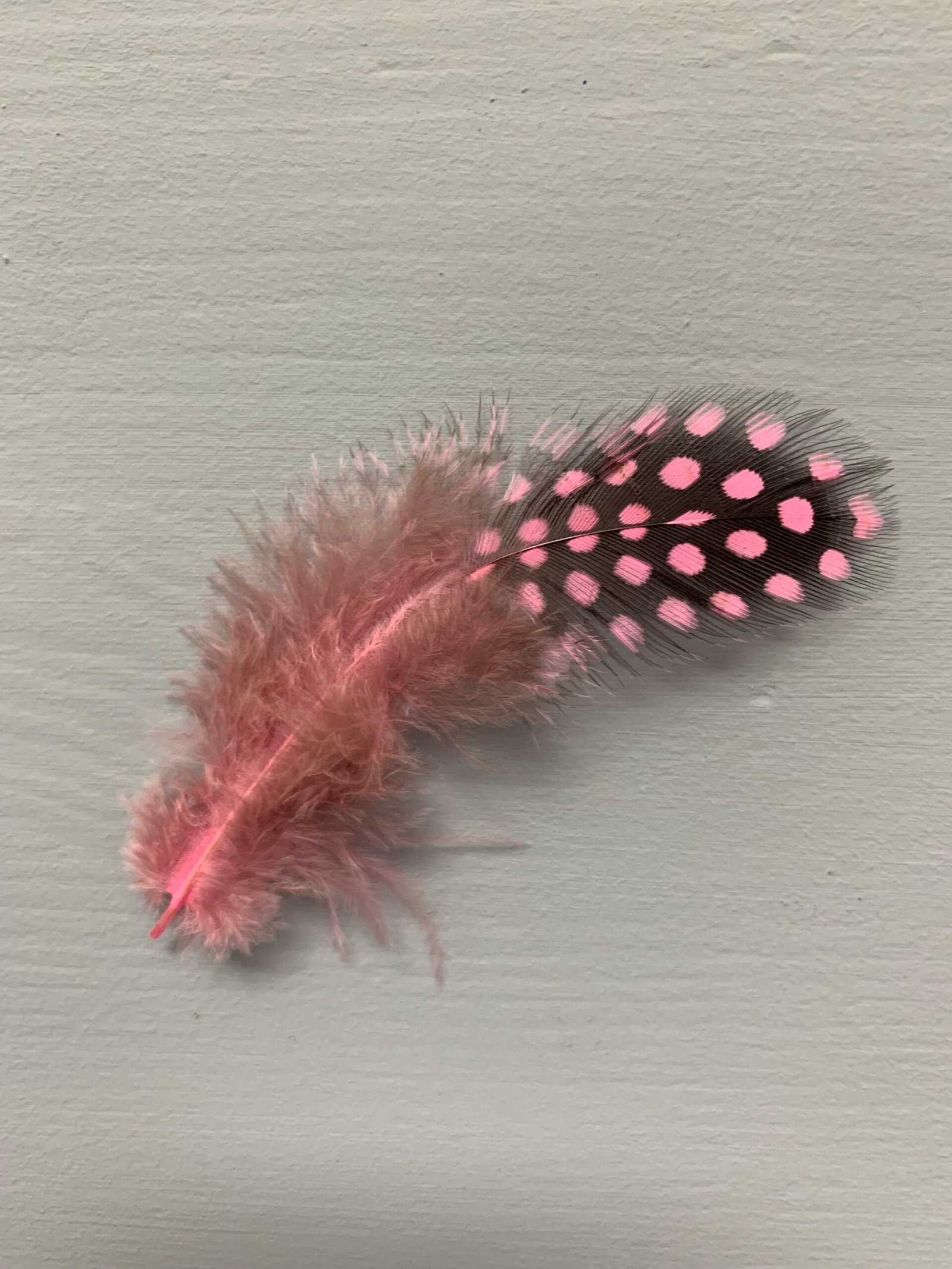 Набір натурального пір'я фазана в горох рожево античне 100 шт - Пір'я Набір натурального пір'я фазана в горох рожево античне 100 шт - Пір'я