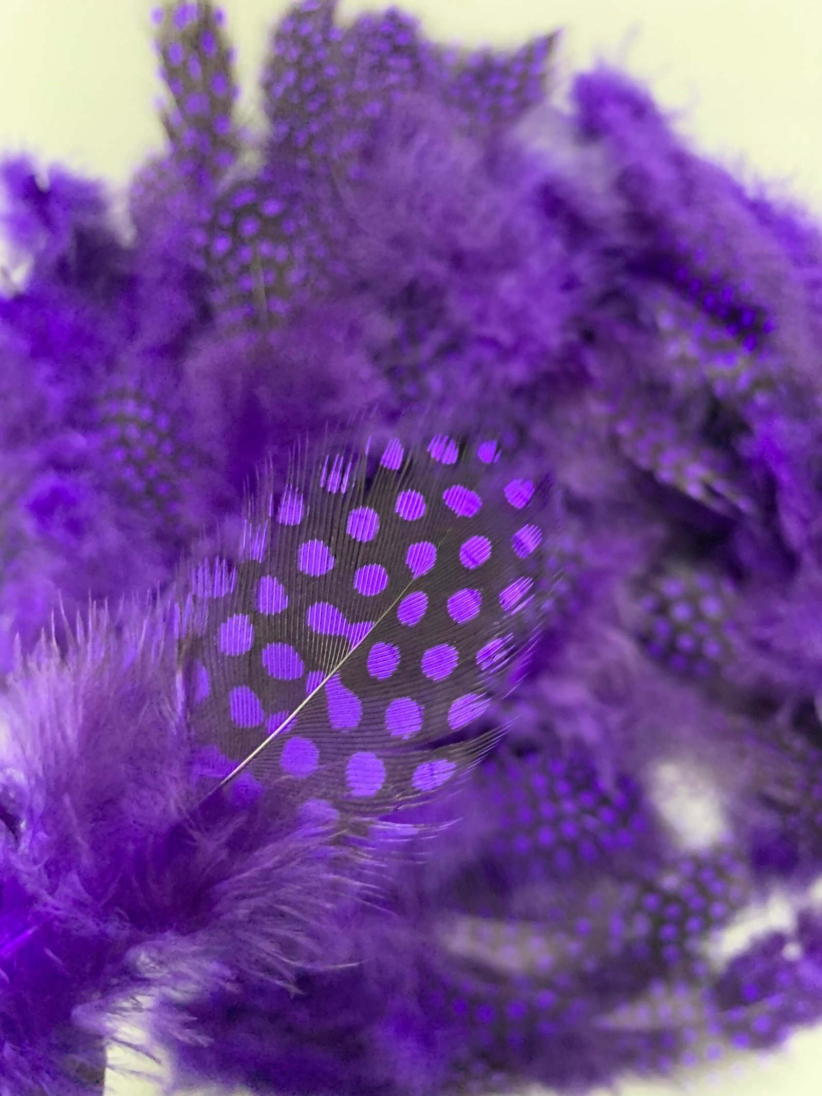 Набір натурального пір'я фазана в горох фіолетове 100 шт - Пір'я Набір натурального пір'я фазана в горох фіолетове 100 шт - Пір'я