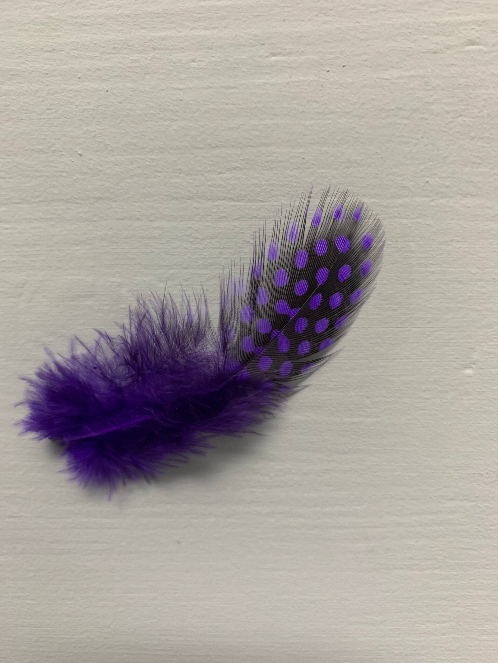 Набір натурального пір'я фазана в горох фіолетове 100 шт - Пір'я Набір натурального пір'я фазана в горох фіолетове 100 шт - Пір'я