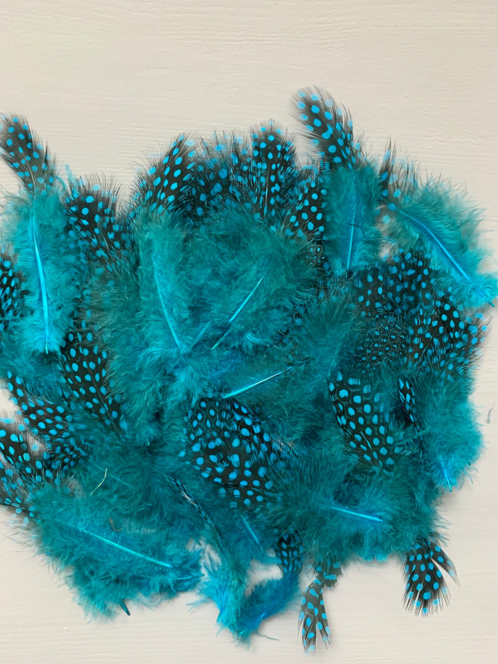 Набір натурального пір'я фазана в горох темно бірюзове 100 шт - Пір'я Набір натурального пір'я фазана в горох темно бірюзове 100 шт - Пір'я