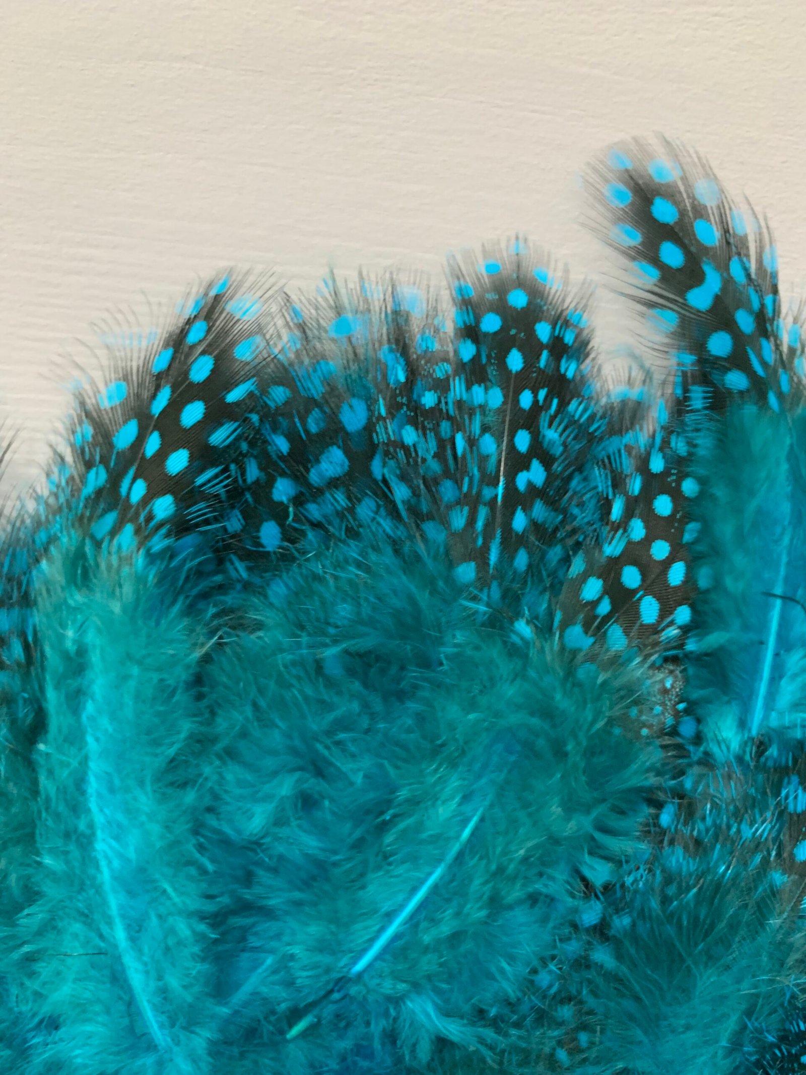 Набір натурального пір'я фазана в горох темно бірюзове 100 шт - Пір'я Набір натурального пір'я фазана в горох темно бірюзове 100 шт - Пір'я