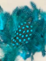 Набір натурального пір'я фазана в горох темно бірюзове 100 шт - Пір'я