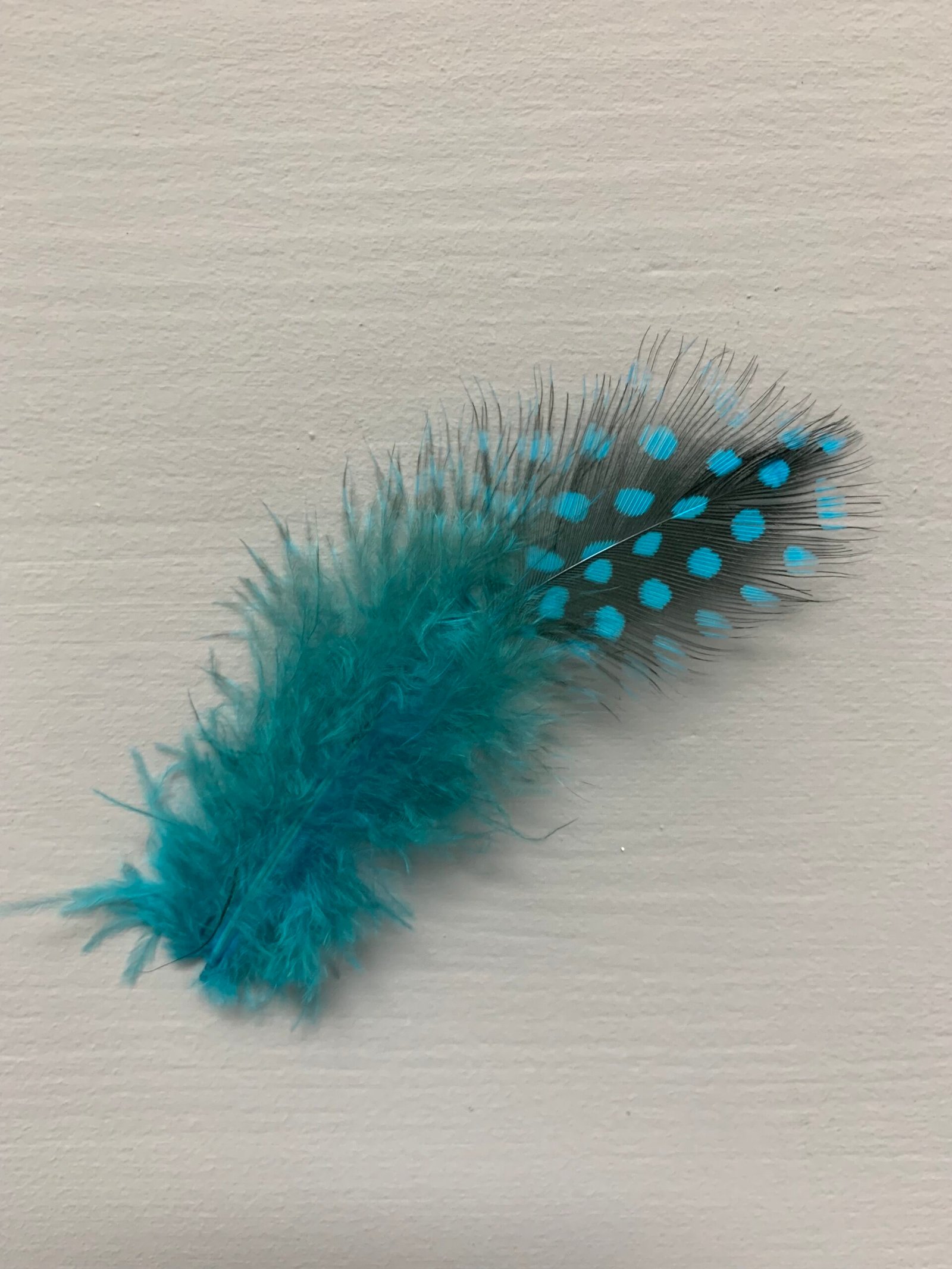 Набір натурального пір'я фазана в горох темно бірюзове 100 шт - Пір'я Набір натурального пір'я фазана в горох темно бірюзове 100 шт - Пір'я