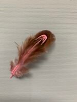 Набір натурального пір'я фазана рожево античне 100 шт - Пір'я