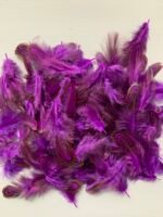 Набір натурального пір'я фазана фіолетове 100 шт - Пір'я