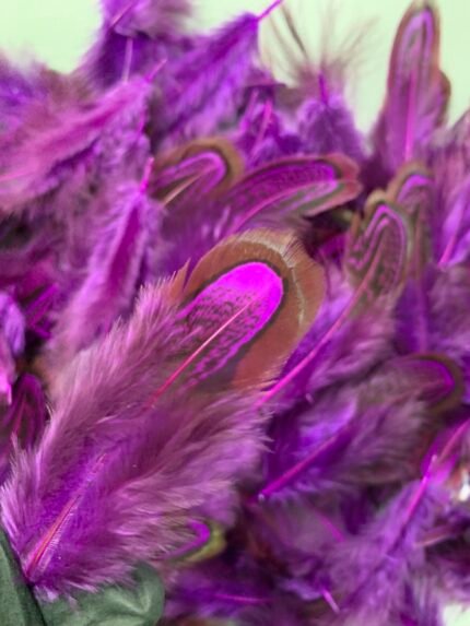 Набір натурального пір'я фазана фіолетове 100 шт - Пір'я