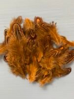 Набір натурального пір'я фазана теракотове 100 шт - Пір'я